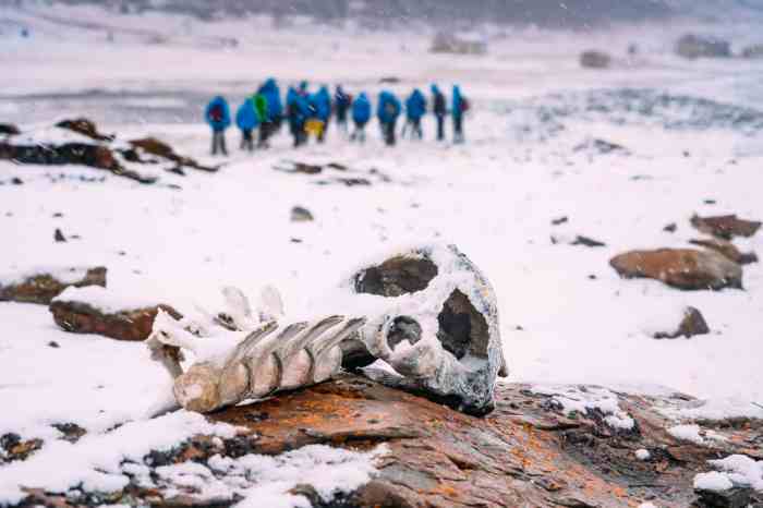 Expedition arctic longest reaches